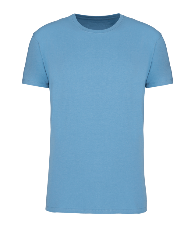 Cloudy Blue Heather
