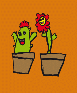 Cactus en Bloem