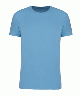 Cloudy Blue Heather