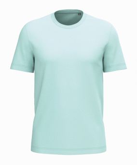 Ice Mint