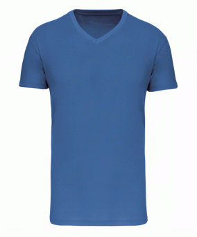 Light Royal Blue