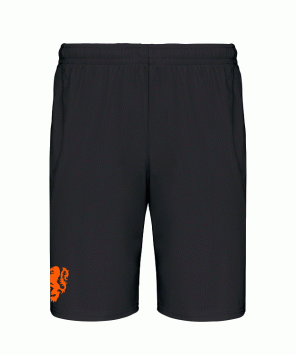 Weghorst - Nederland - Neonoranje